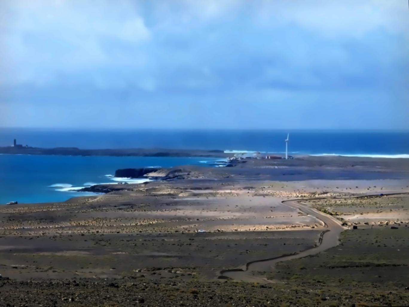 Community ecology field research demonstration with species identification